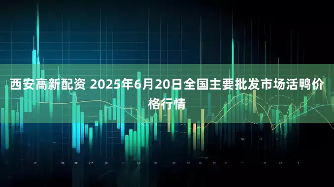西安高新配资 2025年6月20日全国主要批发市场活鸭价格行情