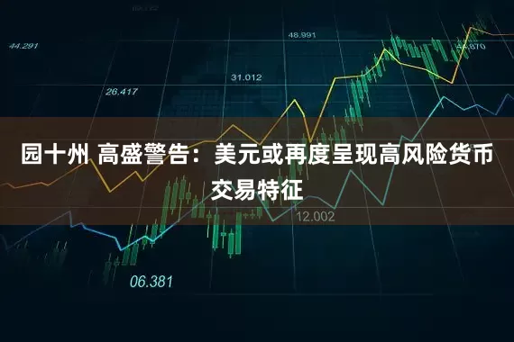 园十州 高盛警告：美元或再度呈现高风险货币交易特征