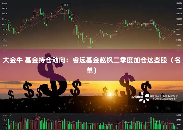 大金牛 基金持仓动向：睿远基金赵枫二季度加仓这些股（名单）