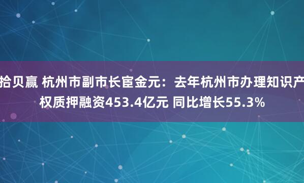 拾贝赢 杭州市副市长宦金元：去年杭州市办理知识产权质押融资453.4亿元 同比增长55.3%