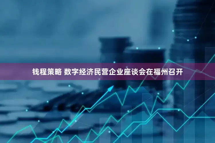 钱程策略 数字经济民营企业座谈会在福州召开